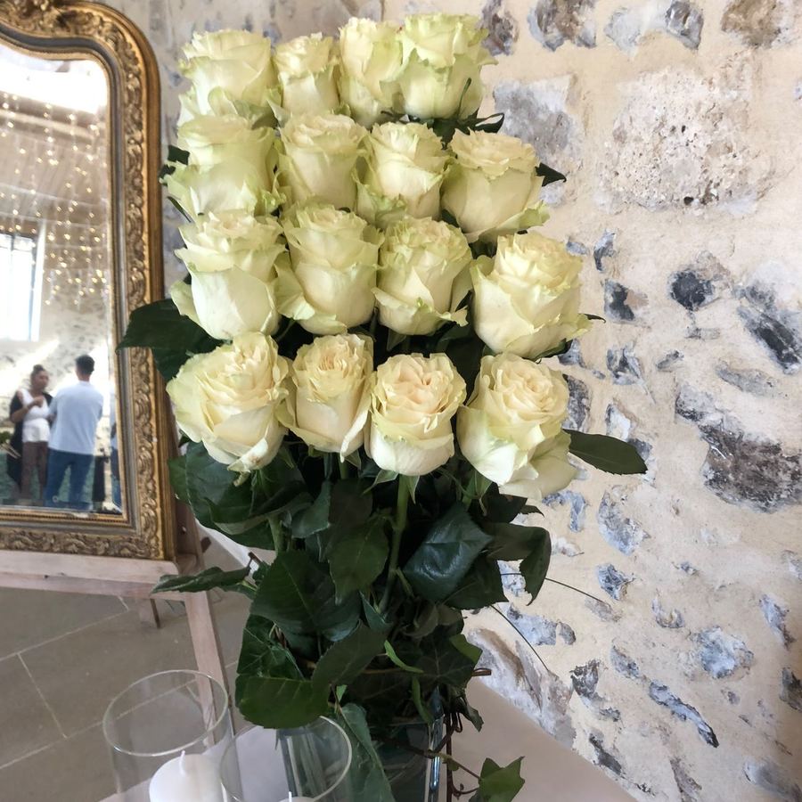 Roses blanches
